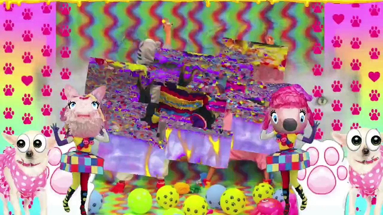 Just Dance - Chanson des chihuahuas