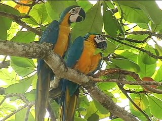 29 de Septiembre de 2015 Puerto Boyacá, asociatividad