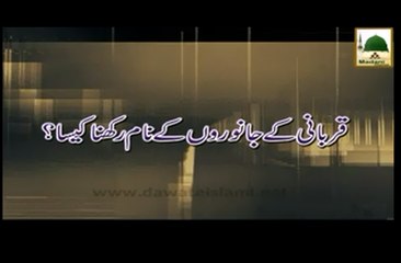 Qurbani kay Janwaro kay Naam Rakhna Kesa - Faizan-e-Islam