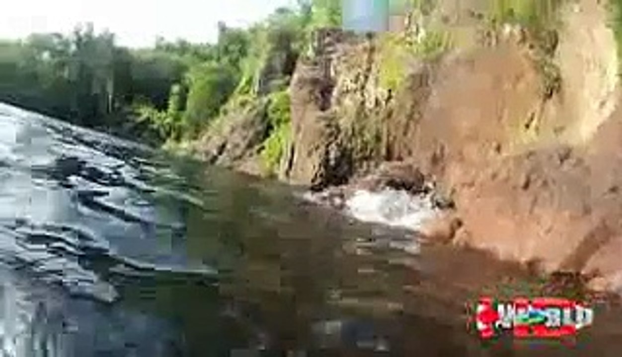 When Animal Attacks Human - Amazing Video Compilation 2015