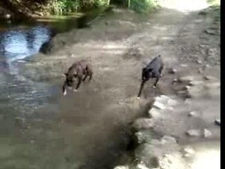 Bouba bosko a létang 3