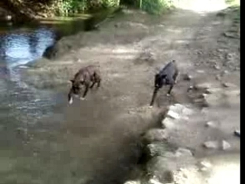 Bouba bosko a létang 3