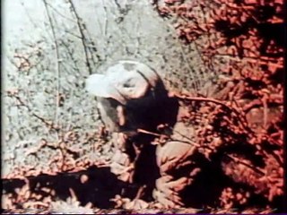 Possibly faked WW2 footage