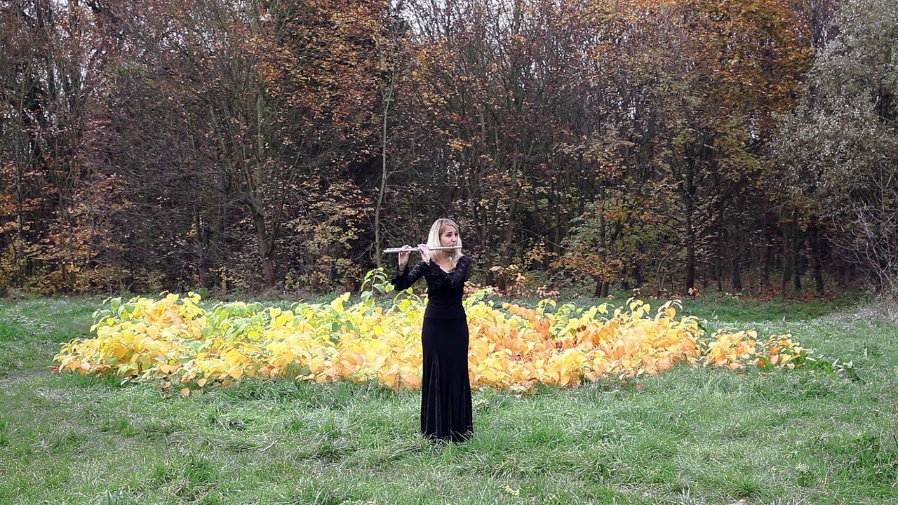L'Orchestre au naturel - Hélène Giraud