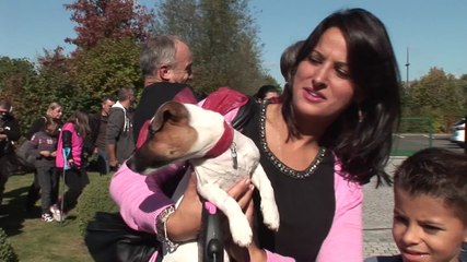 Le brunch des nouveaux habitants de Sénart