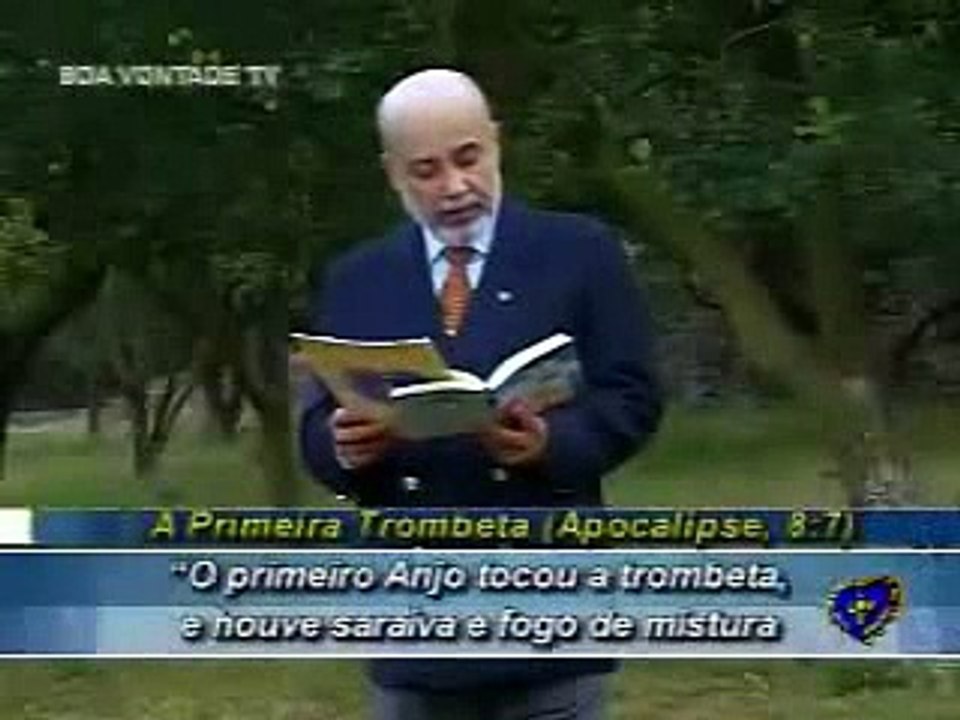 A grama verde