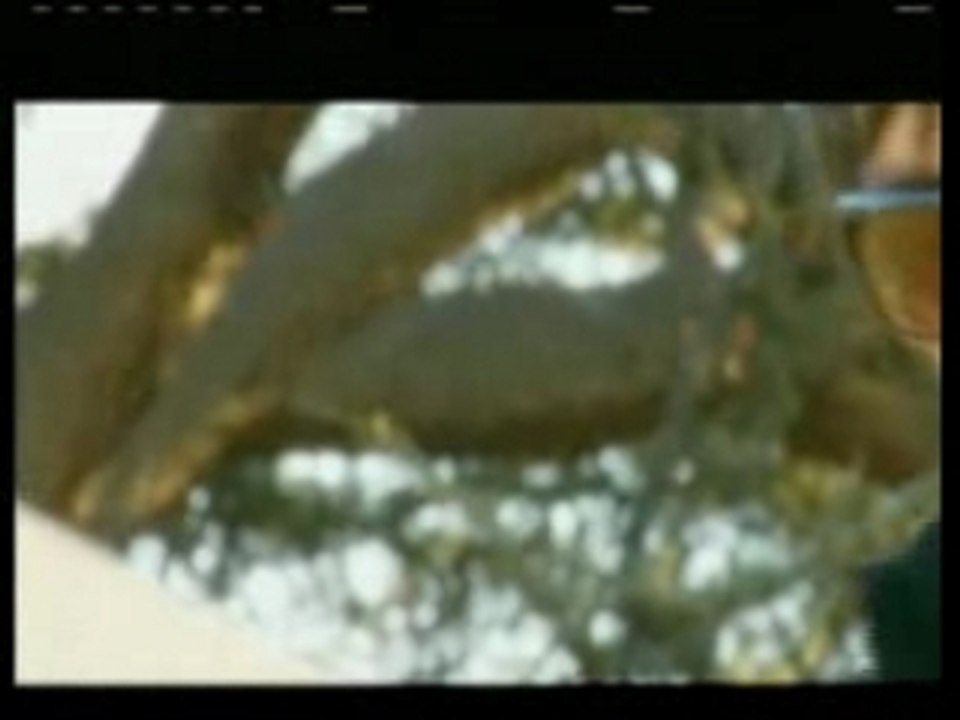 Bleed the Dream - Closer