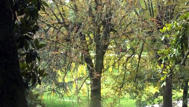 LES W-D.D. MICHOU NEWS - PAU - 27 SEPTEMBRE 20125 - LA WIFI GRATUITE AU MÉMORIAL DU TOUR DES GÉANTS.