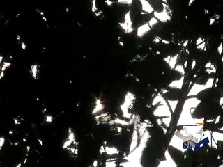 Heatwave in Khi returning soon