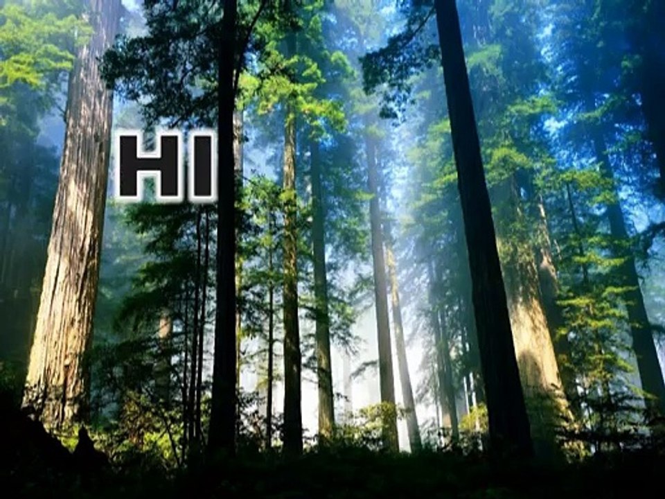 how to share your android phone internet with another mobile phone- easy and working way