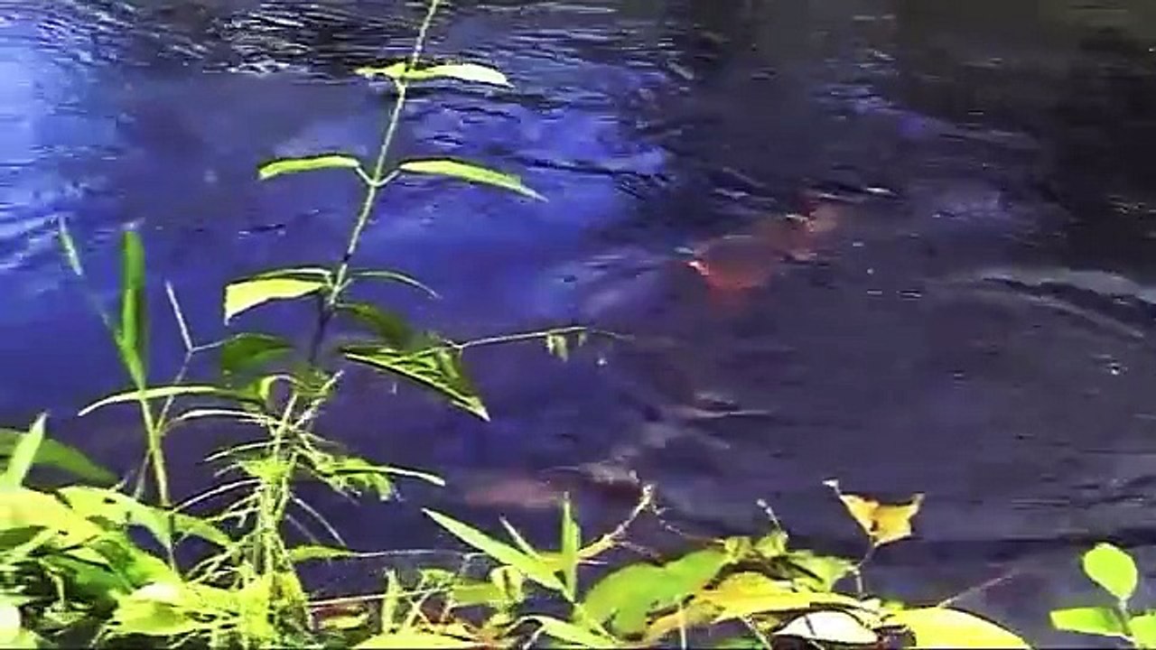 fishing asmat papua