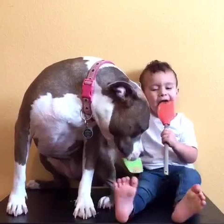 Toddler and pit bull throw peanut butter party