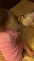 Toddler gives priceless response to sneezing Chihuahua
