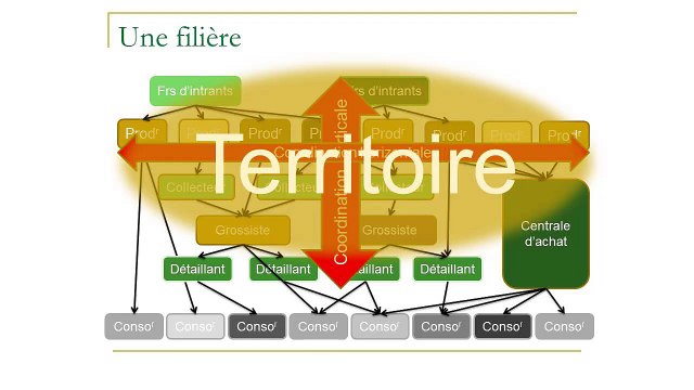 Journée d'Etudes IRAM 2015 - Approches filières et des territoires (partie 1)- Intervenant : Stéphane Fournier (SupAgro)
