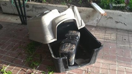 Over 20 pounds of marijuana falls from the sky and lands on a dog house