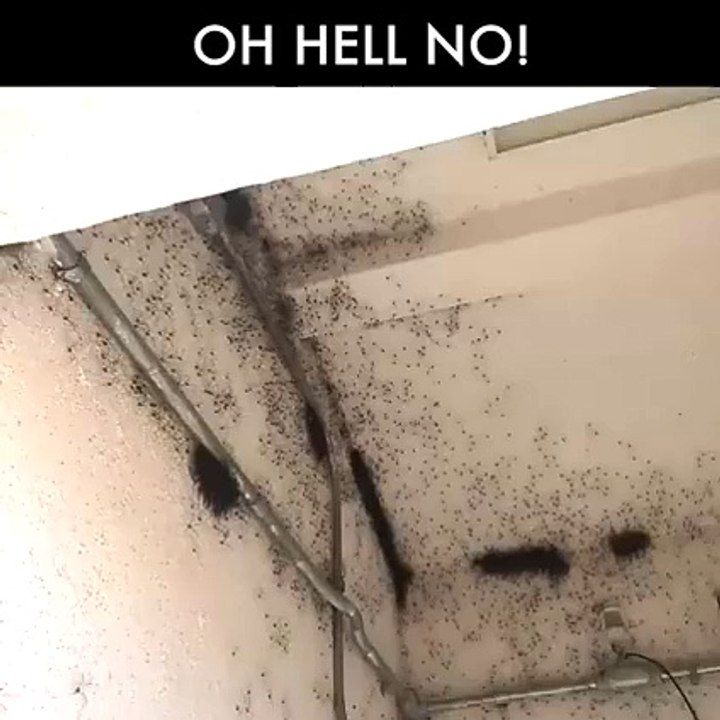 OH HELL NO!