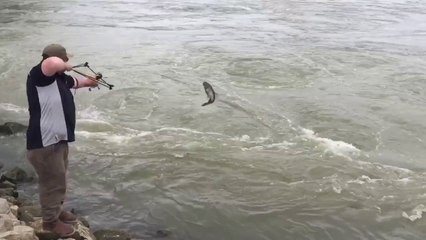 Shooting Flying Carp with a Slingshot