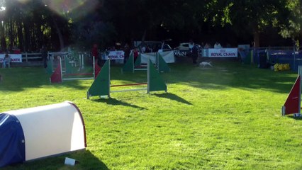 Eclipse Jumping+ Saint Nazaire 2015