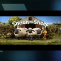 Shaun the She: Snore Worn Shaun - Cartoon For Kids