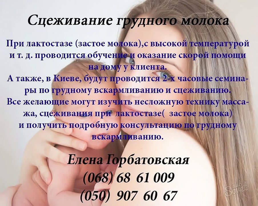 Сцеживание грудного молока, помощь при застое, массаж при лактостазе, выезд на дом , Киев (1)