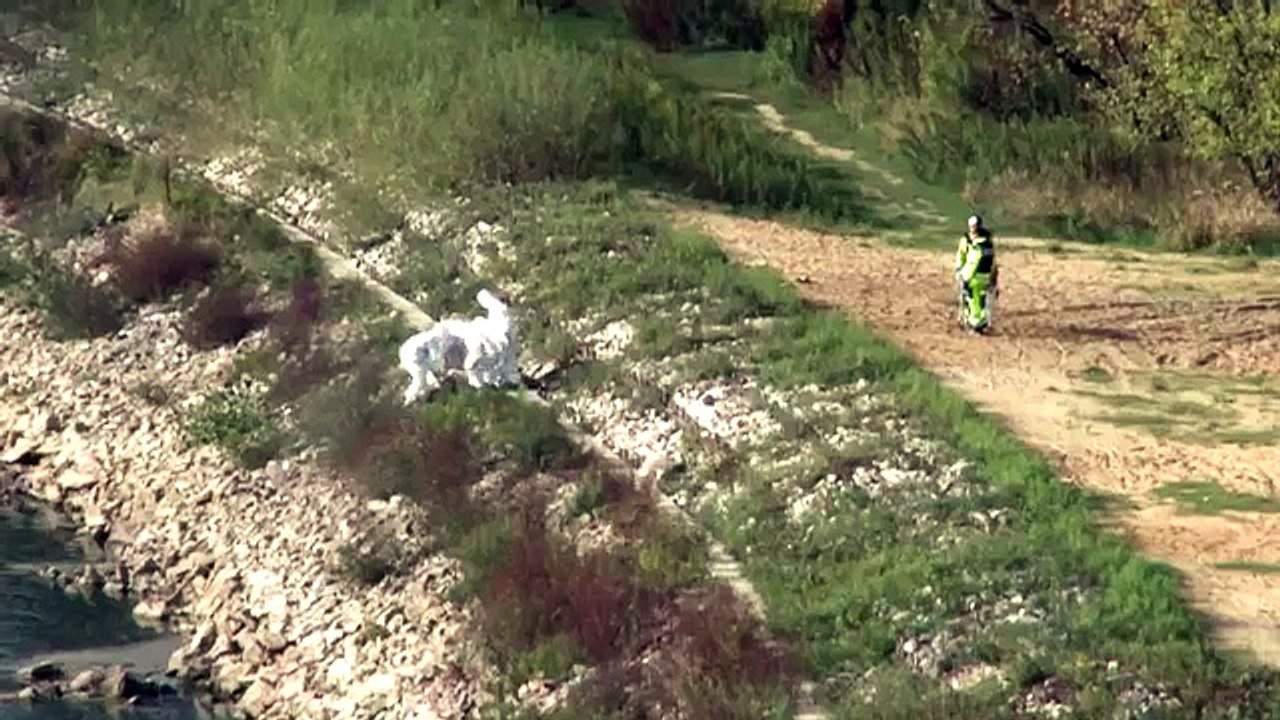 Strange creature in Poland