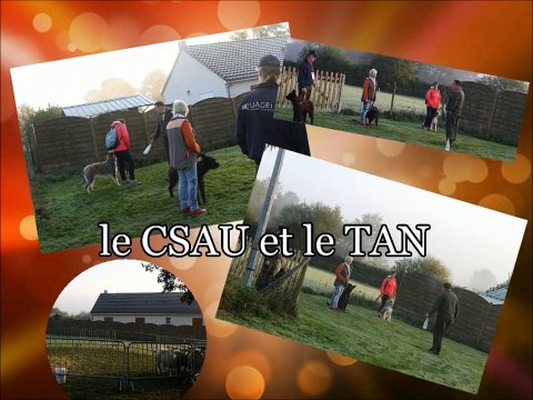 Nationale d'Elevage des Bergers Picards 2015