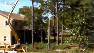 tree trimming idiot almost kills himself