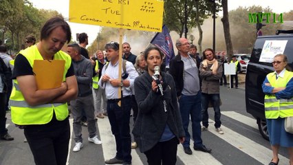 02. TEMOIGNAGES DE MANIFESTANTS - 21 SEPTEMBRE 2015 - PARIS.
