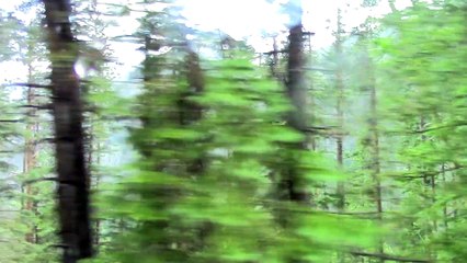 rocky mountains national park