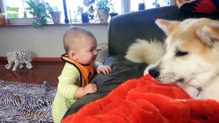 Funny Babies Talking to Dogs Compilation 2014 [HD]