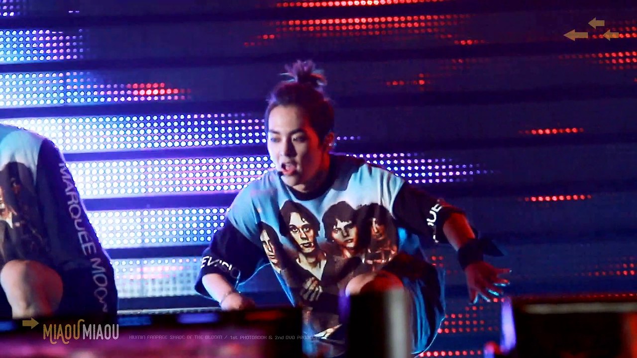 MIAOU MIAOU * DVD TEASER