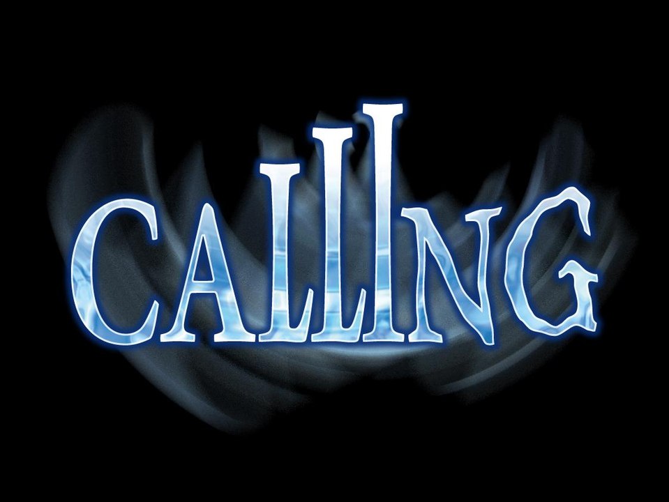 Calling (Wii) The Movie