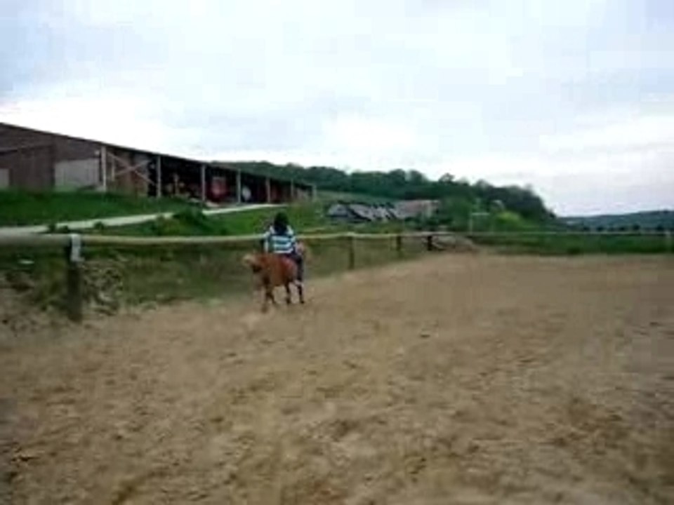 Morgane_jojo