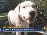 FREE spay, neuter surgeries for your pets