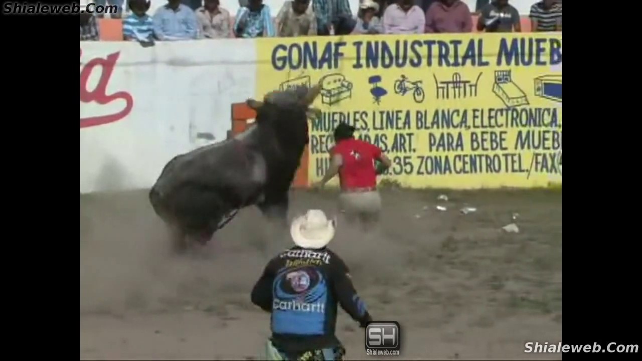 JARIPEO EXTREMO EN EL GRANJENAL MICHOACAN MEXICO JINETES PROFESIONALES MONTAN TOROS PESADOS EN LA FIESTA CHARRA SEPTIEMBRE 2015