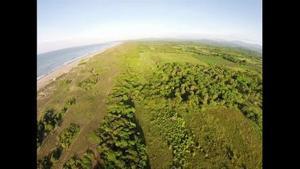 عسكريون وطائرات من دون طيار لحماية بيوض السلاحف في المكسيك