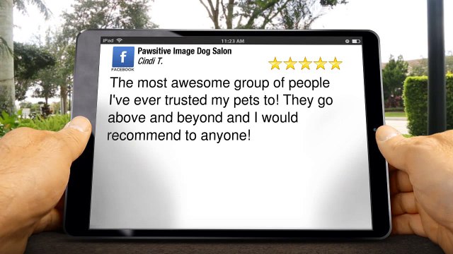 Pawsitive Image Dog Salon Spokane Amazing5 Star Review by Cindi T.