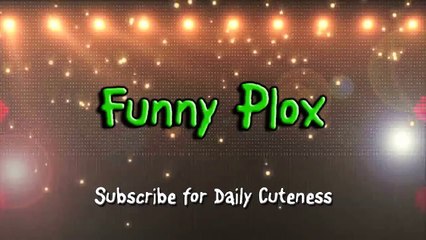 Funny Puppy Swims in the Shower