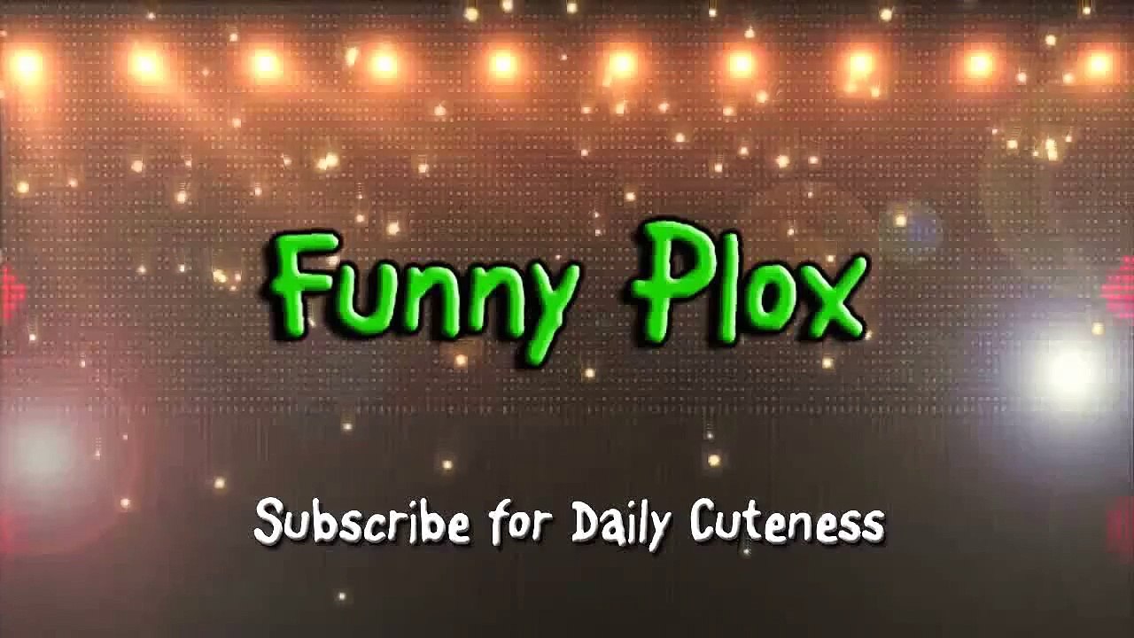 Funny Puppy Swims in the Shower