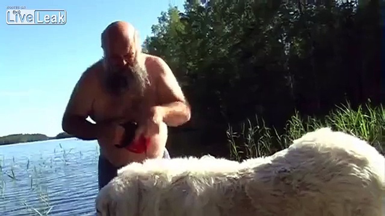 Great Pyrenees bath