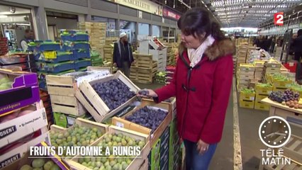 Gourmand - Fruits et légumes d’automne à Rungis - 2015/09/30