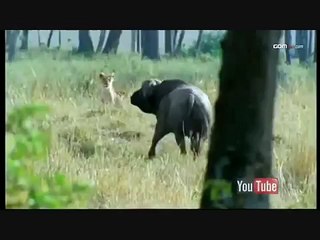 ☇창동출장안마【OIO↔5865↔9911】방학동출장마사지♋불타는 Night