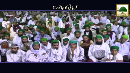 Qurbani Ka Janwar - Maulana Ilyas Qadri - Short Speech