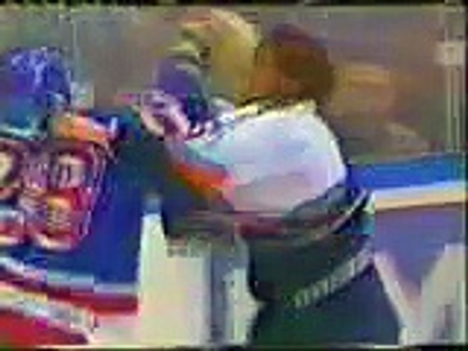 Hockey Goalie Fight