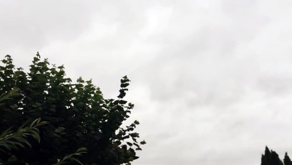 [Video] Strange creature flying across the sky in Ohio. USA....