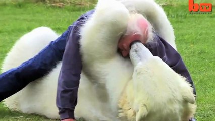 Белый медведь и седой мужик