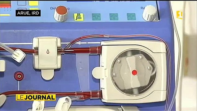 Résultats encourageants pour le programme de valorisation de la biodiversité