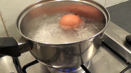 How To Boil an Egg