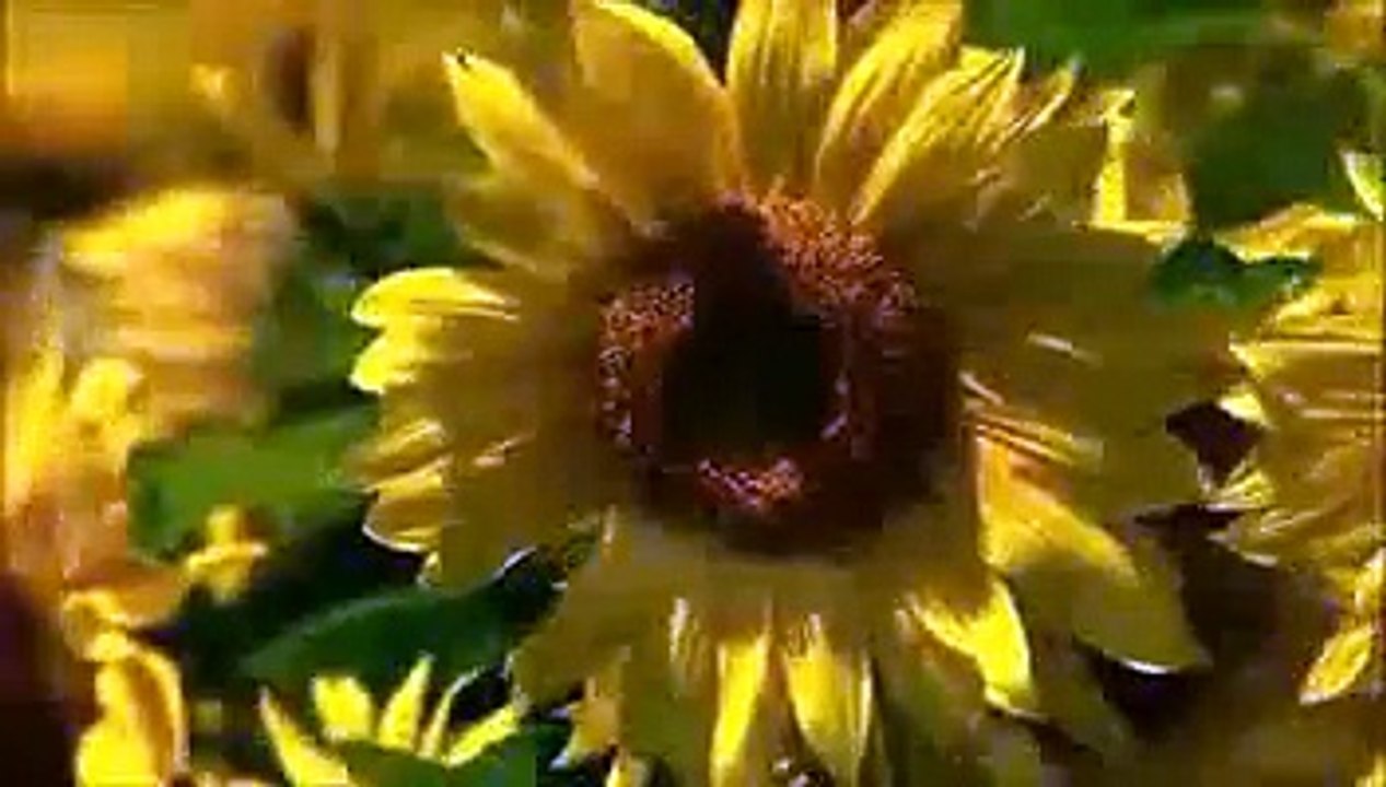 the_most_beautiful_Quran_Recitation_Heart_Touching__Really_emotional