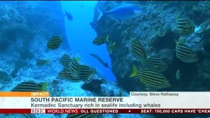 BBC ニュージーランドが広大な海洋保護区を指定